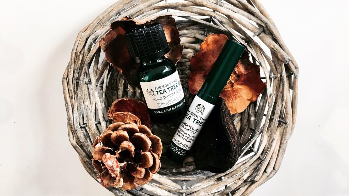 The Body Shop Tea Tree Oil & Gel (Image by The Pretty Poetic ©)